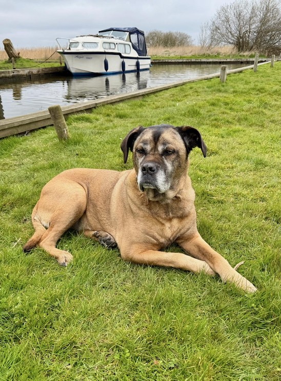 Pre Season Work Party 2 4