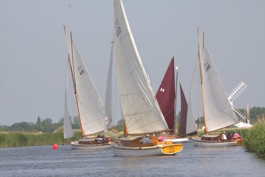 TMOR 2026 Sue H 1