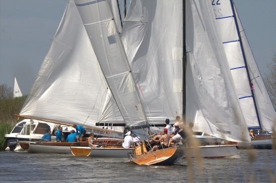TMOR 2026 Sue H 7