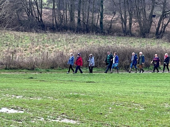 Winter Walk 26 landscape small 8